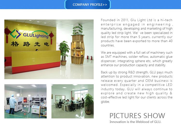 China high quality Ra95 2835 CCT led strip factory product-750-532