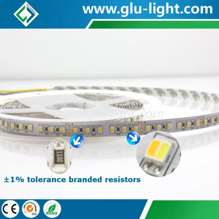 24V 120 led/m 3527 2 colors in 1 / 2 chip in 1 smd led strip, 3527 two color led strip light